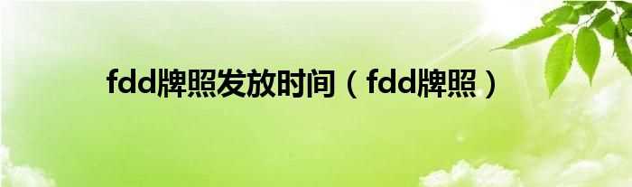 fdd牌照_fdd牌照发放时间(fdd牌照)