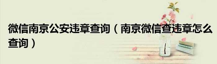 南京微信查违章怎么查询_微信南京公安违章查询?(南京违章查询)