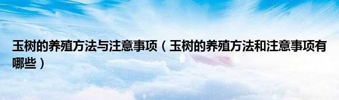 玉树的养殖方法和注意事项有哪些_玉树的养殖方法与注意事项?(玉树的养殖方法和注意事项)