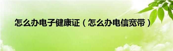 怎么办电信宽带_怎么办电子健康证?(电子健康证)