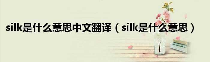 silk是什么意思_silk是什么意思中文翻译?(silk)