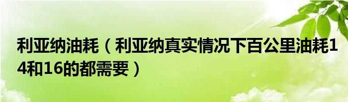 利亚纳真实情况下百公里油耗14和16的都需要_利亚纳油耗(利亚纳油耗)