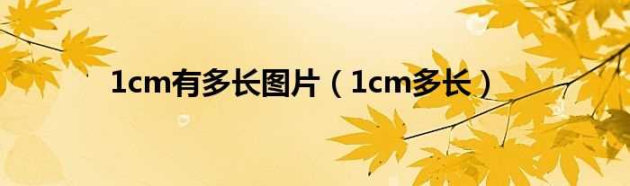 1cm多长_1cm有多长图片(一厘米有多长)