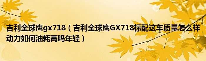 吉利全球鹰GX718标配这车质量怎么样动力怎么油耗高吗?年轻_吉利全球鹰gx718?(GX718)