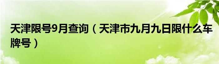 天津市九月九日限什么车牌号_天津限号9月查询?(天津限号2020年时间表9月份)