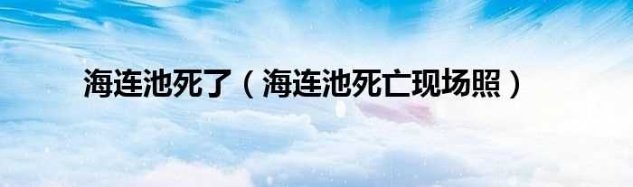 海连池死亡现场照_海连池死了(海连池逝世)