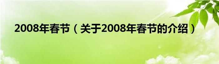 关于2008年春节的介绍_2008年春节(08年春节)