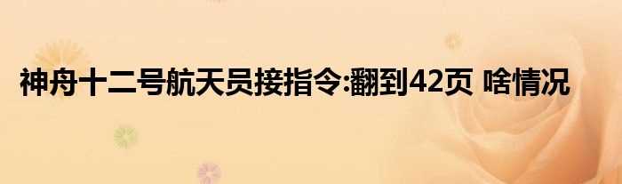 神舟十二号航天员接指令:翻到42页_啥情况(航天员接指令翻页)