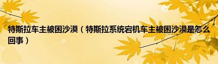 特斯拉系统宕机车主被困沙漠是怎么回事_特斯拉车主被困沙漠?(特斯拉车主被困沙漠)