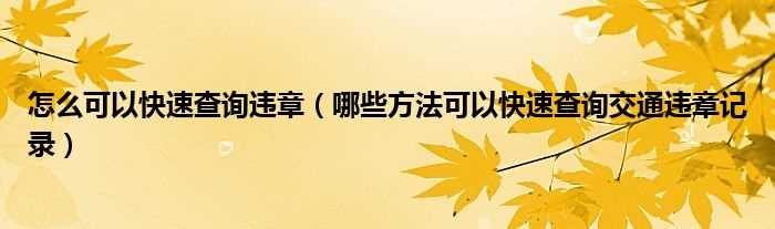 哪些方法可以快速查询交通违章记录_怎么可以快速查询违章?(交通违章快速查询)