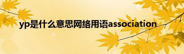 yp是什么意思网络用语association?(yp)