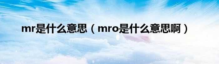 mro是什么意思啊_mr是什么意思?(mr是什么意思)