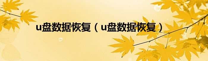 u盘数据恢复_u盘数据恢复(优盘数据恢复)