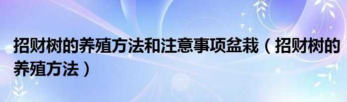 招财树的养殖方法_招财树的养殖方法和注意事项盆栽(招财树)