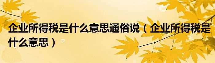 企业所得税是什么意思_企业所得税是什么意思通俗说?(企业所得税)