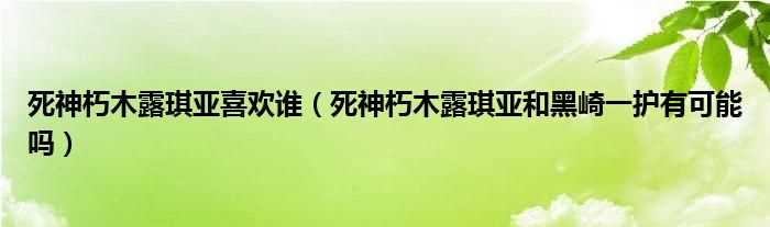 死神朽木露琪亚和黑崎一护有可能吗?死神朽木露琪亚喜欢谁(朽木露琪亚喜欢谁)