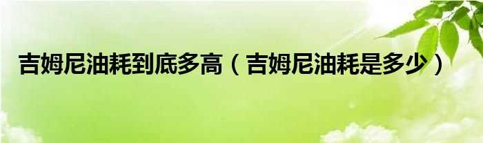 吉姆尼油耗是多少_吉姆尼油耗到底多高?(吉姆尼油耗)