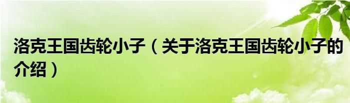 关于洛克王国齿轮小子的介绍_洛克王国齿轮小子(洛克王国齿轮小子)