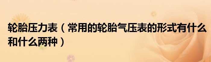 常用的轮胎气压表的形式有什么和什么两种_轮胎压力表?(轮胎压力表)