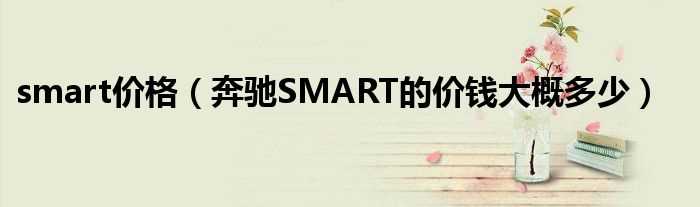 奔驰SMART的价钱大概多少_smart价格?(奔驰smart多少钱)