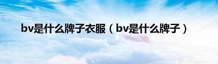 bv是什么牌子_bv是什么牌子衣服?(bv是什么牌子)