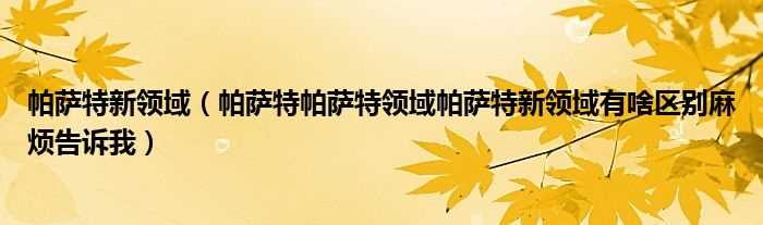 帕萨特帕萨特领域帕萨特新领域有啥区别麻烦告诉我_帕萨特新领域(新领域)