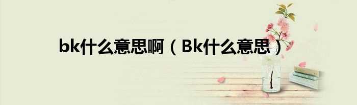 Bk什么意思_bk什么意思啊?(bk是什么意思)