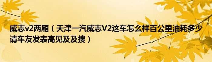 天津一汽威志V2这车怎么样百公里油耗多少请车友发表高见及及搜_威志v2两厢?(威志v2两厢)