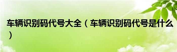 车辆识别码代号是什么_车辆识别码代号大全?(车辆识别代码)