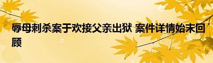 辱母刺杀案于欢接父亲出狱_案件详情始末回顾(辱母刺杀案于欢接父亲出狱)