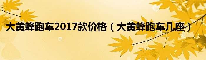 大黄蜂跑车几座_大黄蜂跑车2017款价格?(大黄蜂 价格)