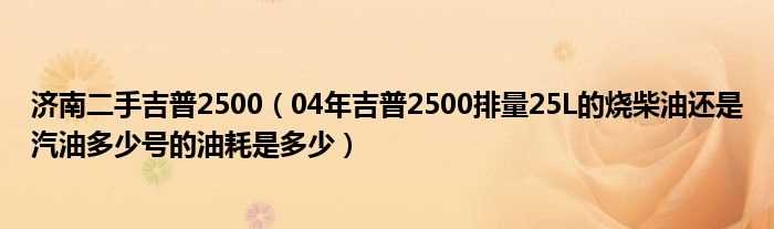 04年吉普2500排量25L的烧柴油还是汽油多少号的油耗是多少_济南二手吉普2500?(jeep2500二手车)