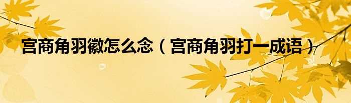 宫商角羽打一成语_宫商角羽徽怎么念?(宫商角羽徽怎么念)