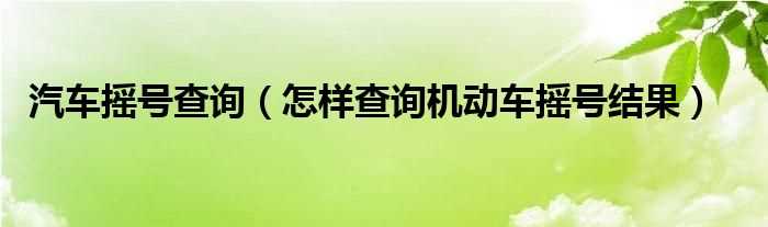 怎么样查询机动车摇号结果_汽车摇号查询?(购车摇号结果查询)