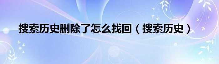 搜索历史_搜索历史删除了怎么找回?(搜索历史删除怎么找回)