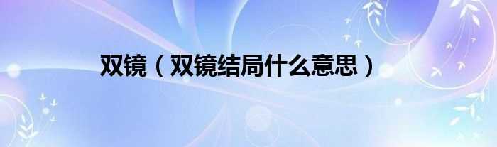 双镜结局什么意思_双镜?(双镜)