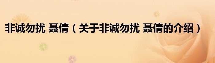 关于非诚勿扰_聂倩的介绍_非诚勿扰_聂倩(非诚勿扰17号聂倩)