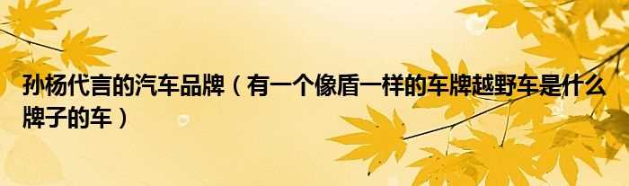 有一个像盾一样的车牌越野车是什么牌子的车_孙杨代言的汽车品牌?(孙杨代言的汽车品牌)