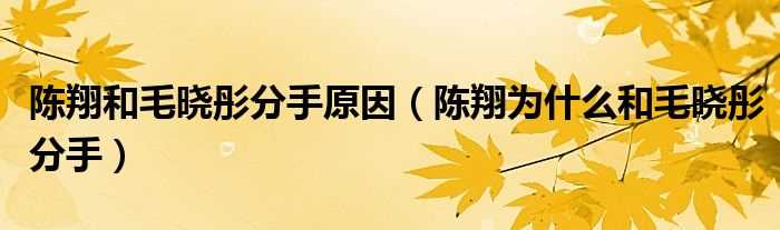 陈翔为什么和毛晓彤分手_陈翔和毛晓彤分手原因?(陈翔毛晓彤分手原因)