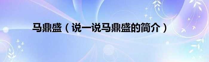 说一说马鼎盛的简介_马鼎盛(马鼎盛简历)