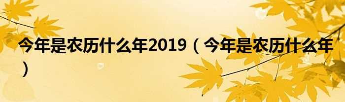 今年是农历什么年_今年是农历什么年2019?(今年是农历什么年)