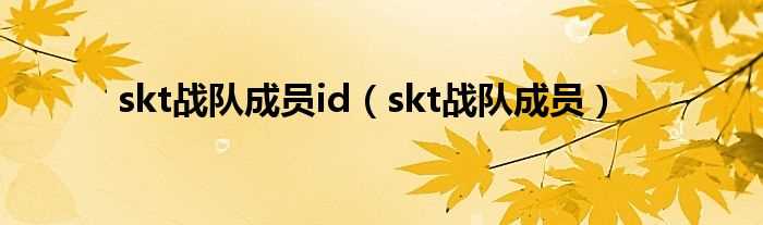 skt战队成员_skt战队成员id(skt成员)