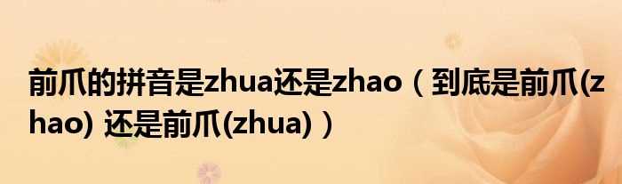 到底是前爪(zhao_前爪的拼音是zhua还是zhao_还是前爪(zhua))(前爪的拼音)