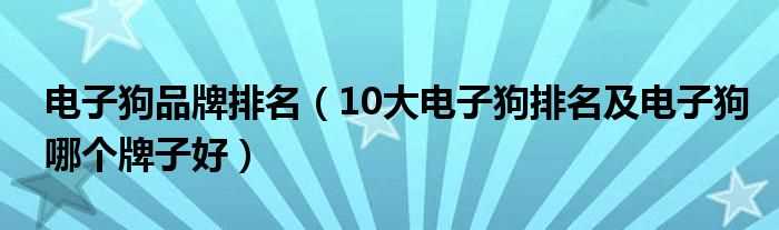 10大电子狗排名及电子狗哪个牌子好_电子狗品牌排名?(电子狗品牌排名)