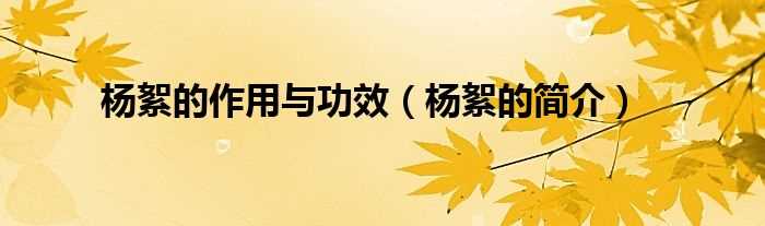 杨絮的简介_杨絮的作用与功效(杨絮)