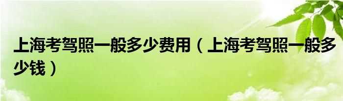 上海考驾照一般多少钱_上海考驾照一般多少费用?(上海考驾照)