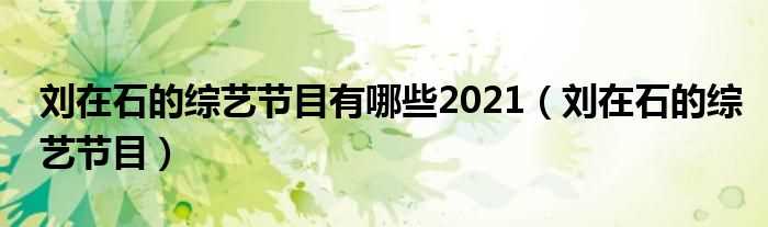 刘在石的综艺节目_刘在石的综艺节目有哪些2021?(刘在石主持的节目)