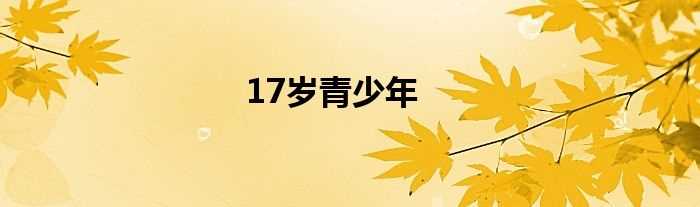 17岁青少年(17岁)