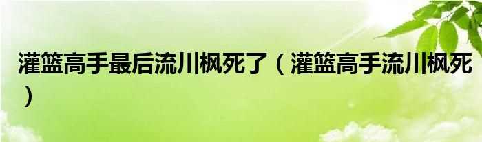 灌篮高手流川枫死_灌篮高手最后流川枫死了(流川枫为什么死了)