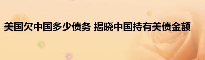 美国欠中国多少债务_揭晓中国持有美债金额?(美国欠中国的钱有多少)